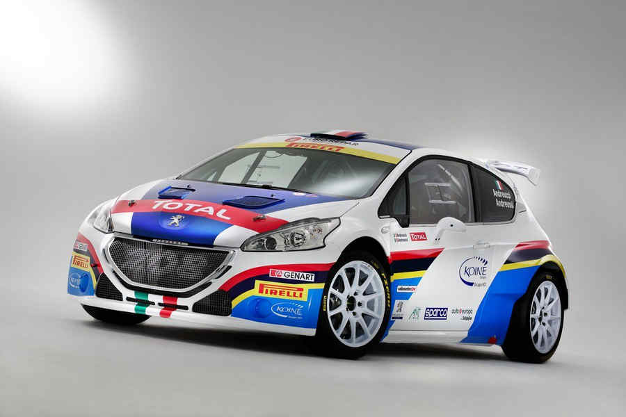 CI-Rally-Peugeot-208-T16-3