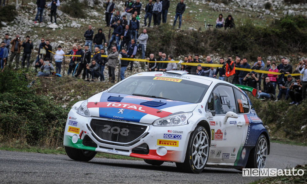 Peugeot 208 Rally Due Valli Andreucci