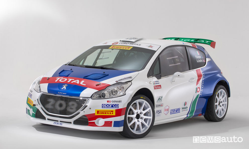 Peugeot Rally 2018 Andreucci