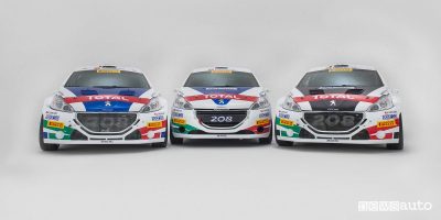 Peugeot al Rally del Ciocco 2018