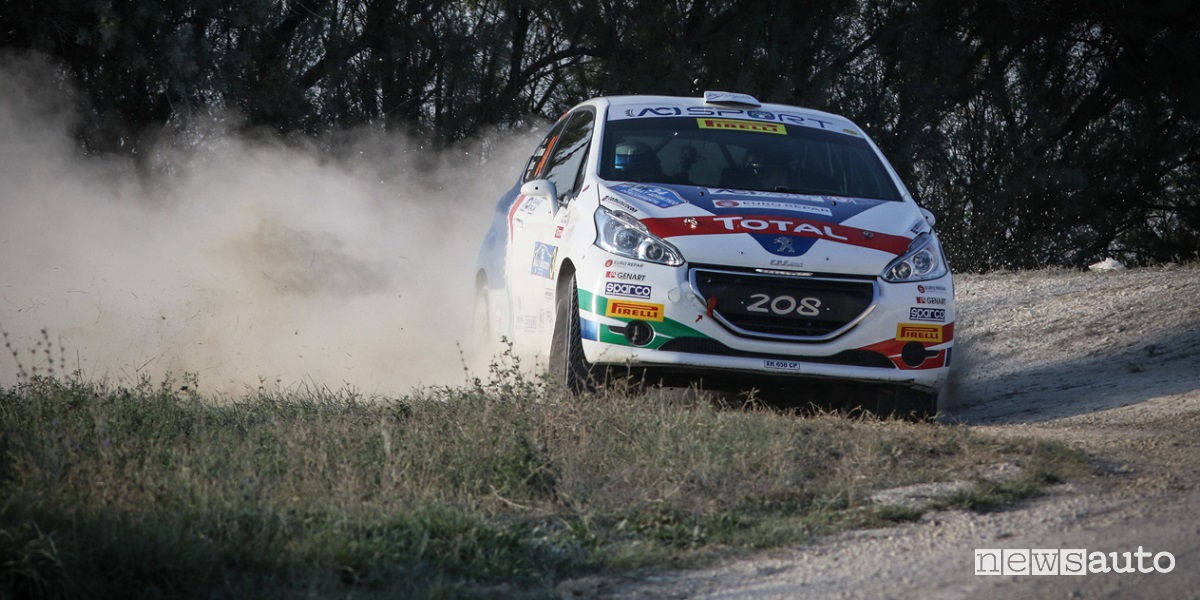 Peugeot Competition Raceday Terra