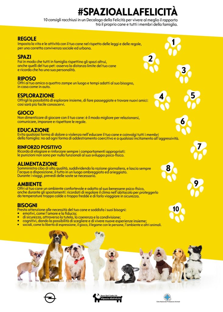 trasporto cani in auto 10 consigli