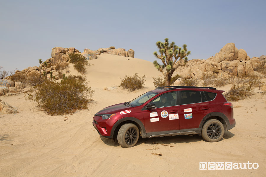 Toyota RAV4 nel deserto dell'Arizona