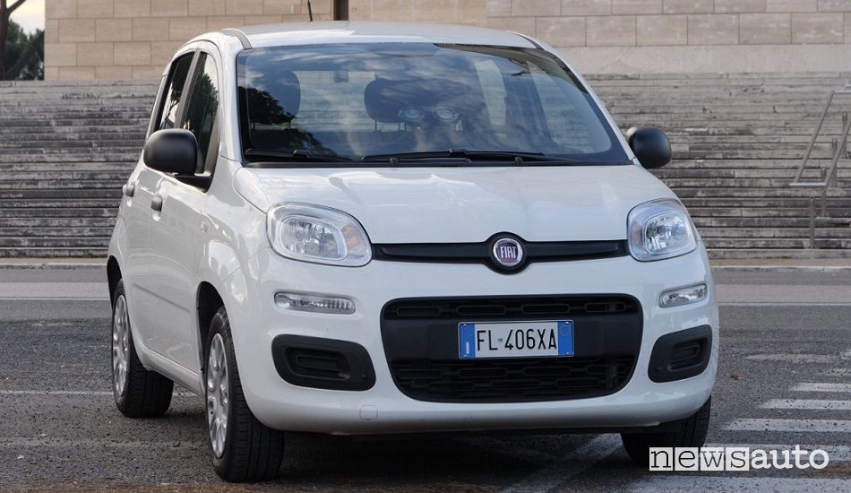 Fiat Panda auto usata