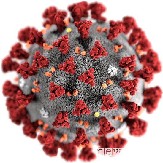 Illustrazione del virus Coronavirus SARS-CoV-2