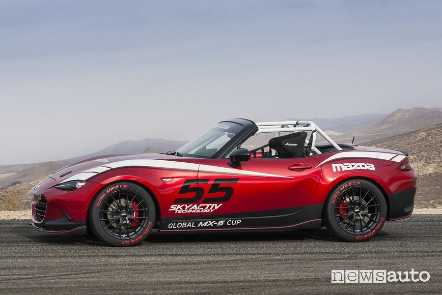 Mazda MX-5 Cup Series, ruote speciali, roll bar ed assetto ribassato