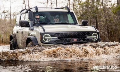 Guado Ford Bronco Everglades