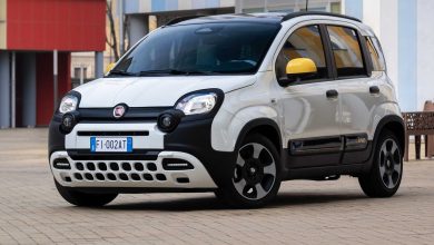 Fiat Pandina serie speciale