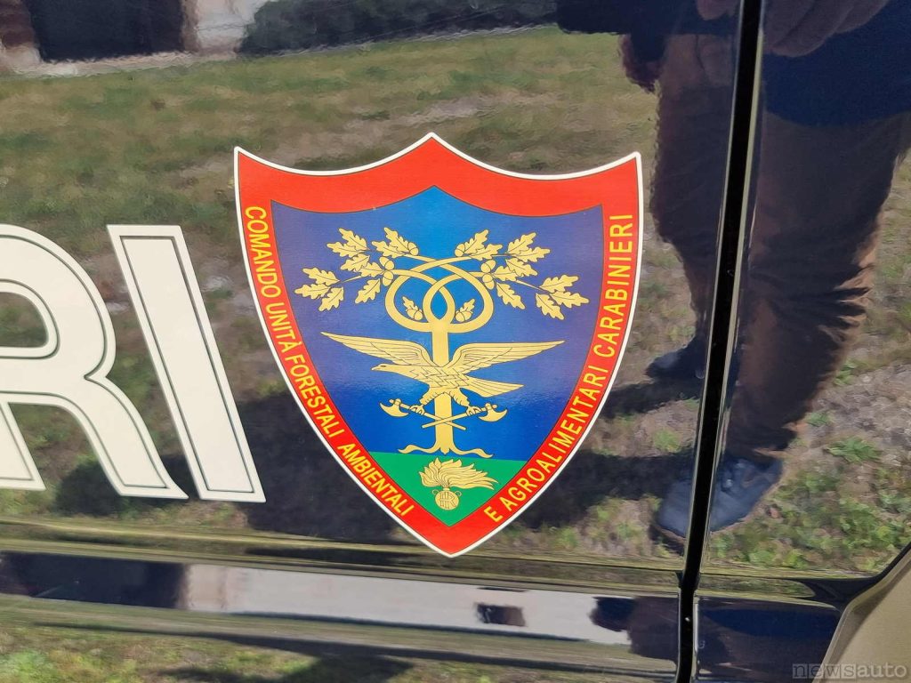 Logo, stemma "Comando Unità Forestali Ambientali e agroalimentari Carabinieri"