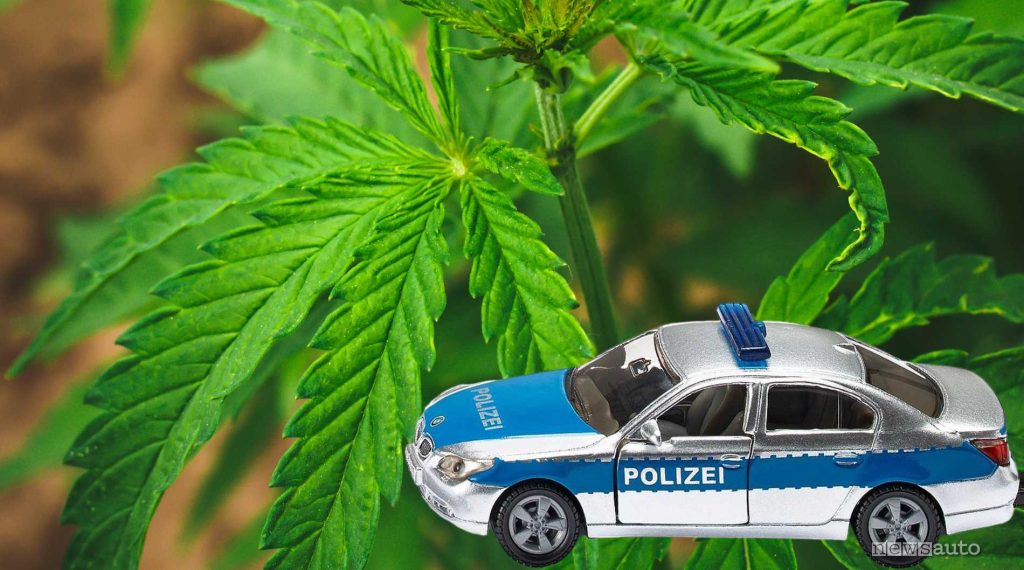 In Germania è legalizzato l'uso di marijuana alla guida