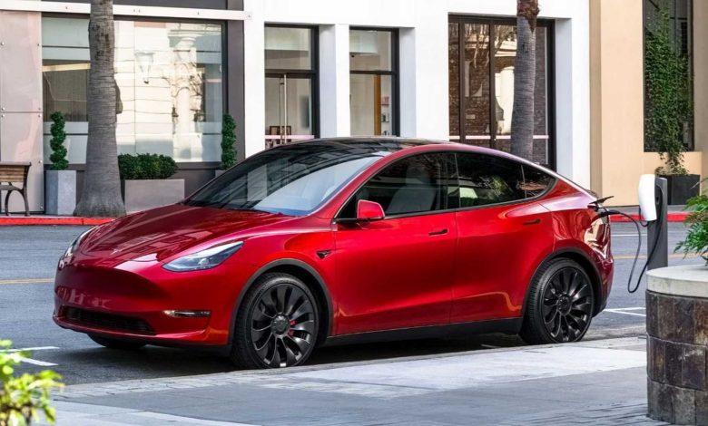 Tesla Model Y, interni 7 posti, prezzo