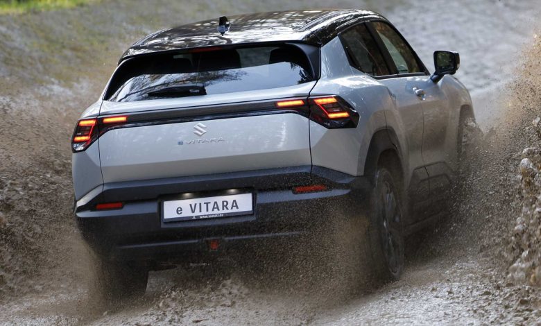 Suzuki e Vitara in azione nel fango