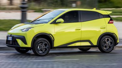 BYD Dolphin Surf test su strada a Roma