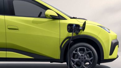 BYD Dolphin Surf in ricarica