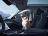 Nuova Jaecoo J5 abitacolo con tessuto per traportare animali