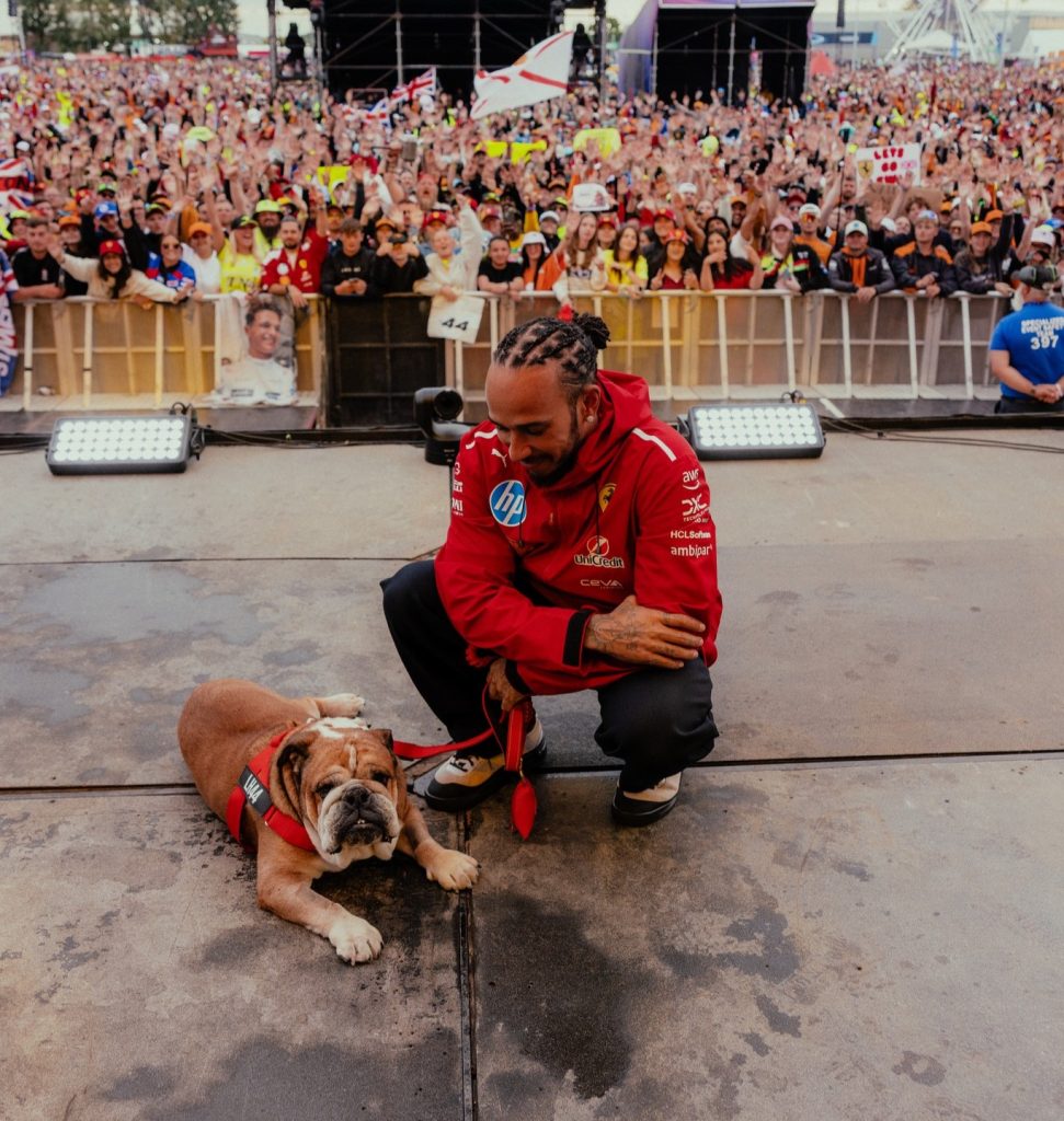 Roscoe, il bulldog di Hamilton nel paddock della Formula 1
