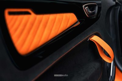 Alpine A110 R Ultime rivestimento portiera guidatore