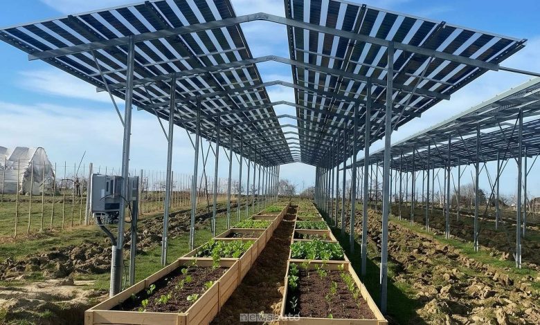 BioOrto ElettroAttivo