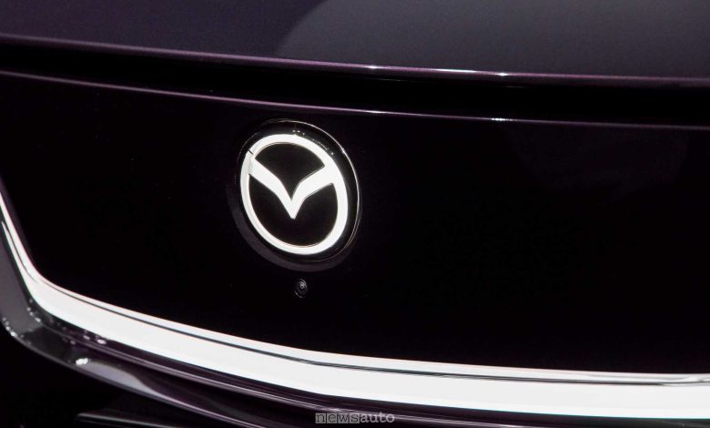 La telecamera sotto il logo illuminato della griglia anteriore